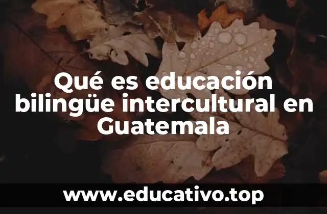 Qué es educación bilingüe intercultural en Guatemala