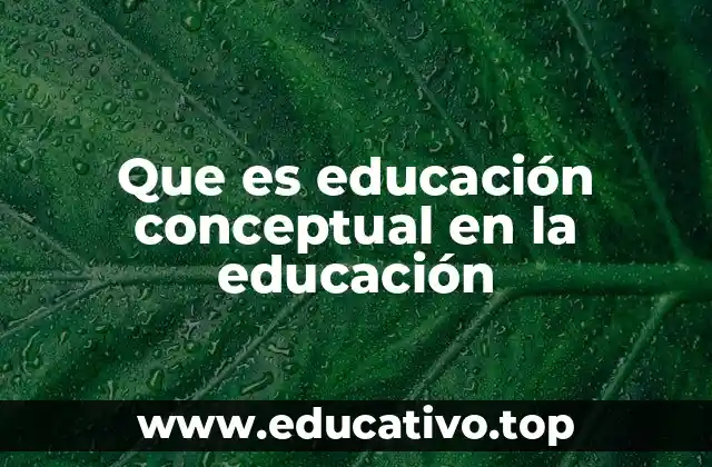 Que es educación conceptual en la educación