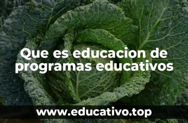 Que es educacion de programas educativos