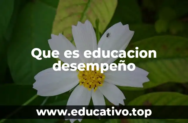 Que es educacion desempeño