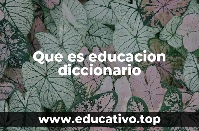 Que es educacion diccionario