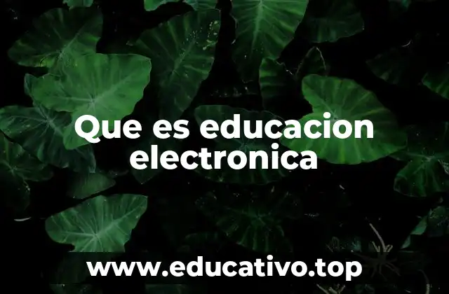 Que es educacion electronica