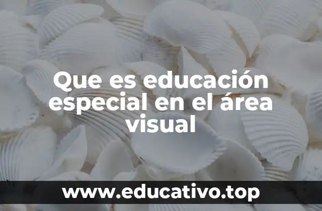 Que es educación especial en el área visual