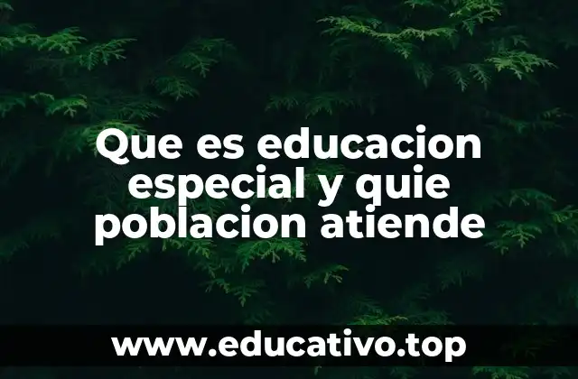 Que es educacion especial y quie poblacion atiende