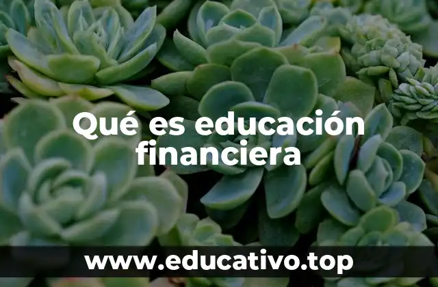 Qué es educación financiera
