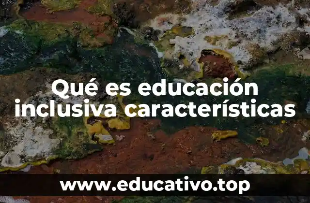 Qué es educación inclusiva características