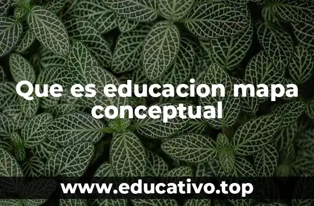 Que es educacion mapa conceptual