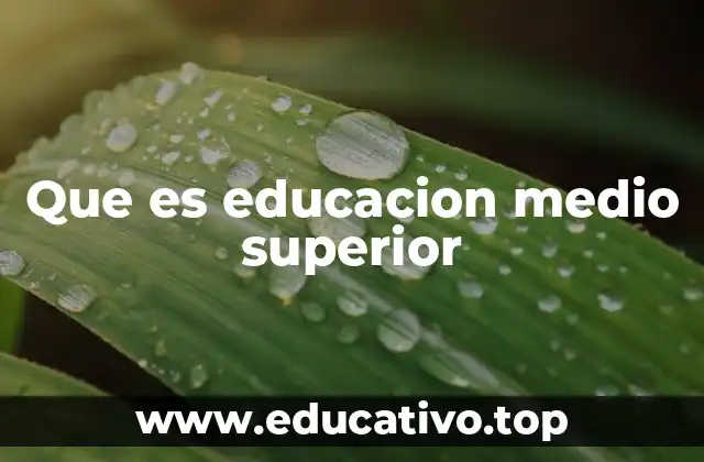 Que es educacion medio superior