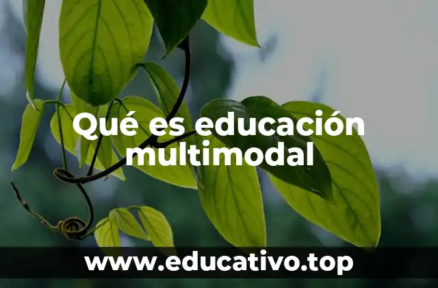 Qué es educación multimodal