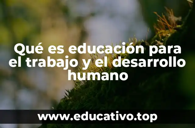 Qué es educación para el trabajo y el desarrollo humano