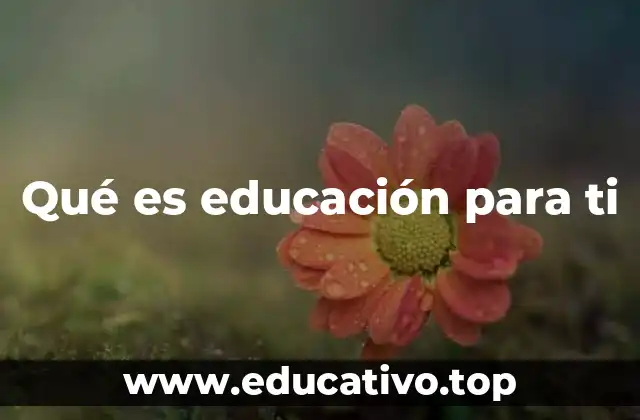 Qué es educación para ti
