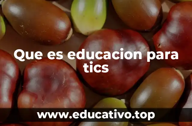 Que es educacion para tics