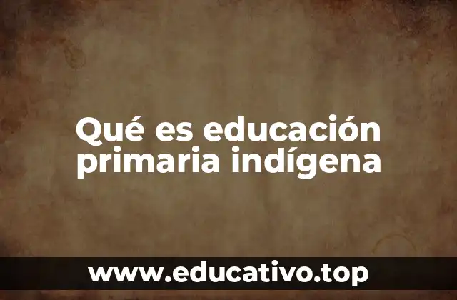 Qué es educación primaria indígena
