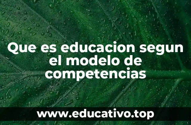 Que es educacion segun el modelo de competencias