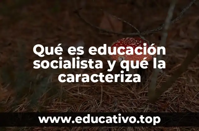 Qué es educación socialista y qué la caracteriza