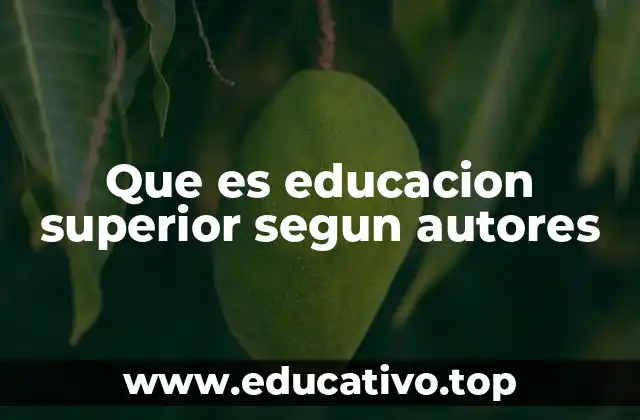 La visión filosófica de la educación superior