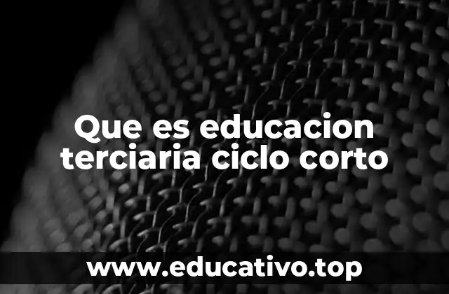 Que es educacion terciaria ciclo corto