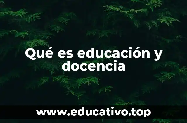 Qué es educación y docencia
