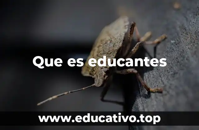 Que es educantes