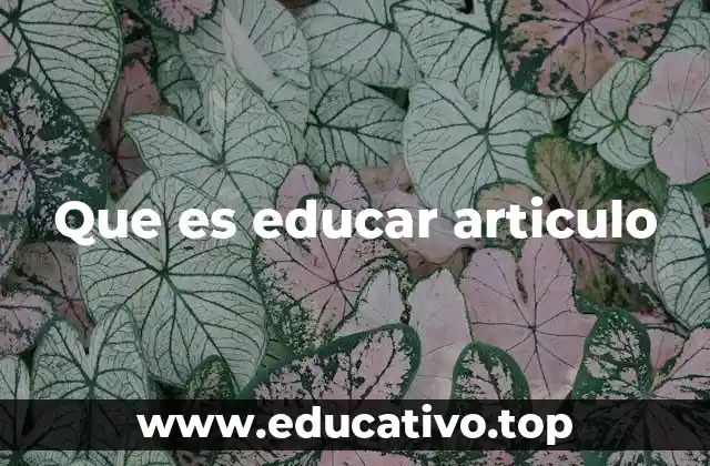 Que es educar articulo