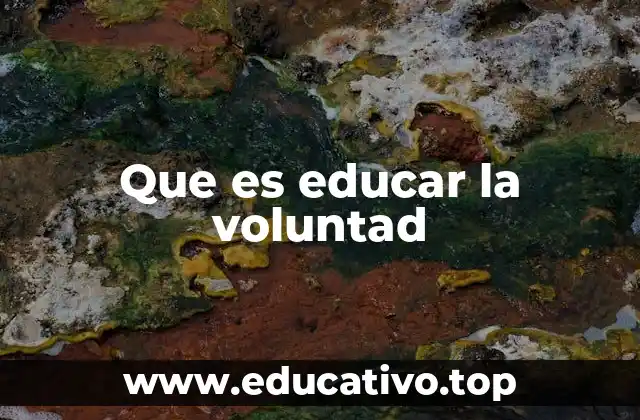 Que es educar la voluntad
