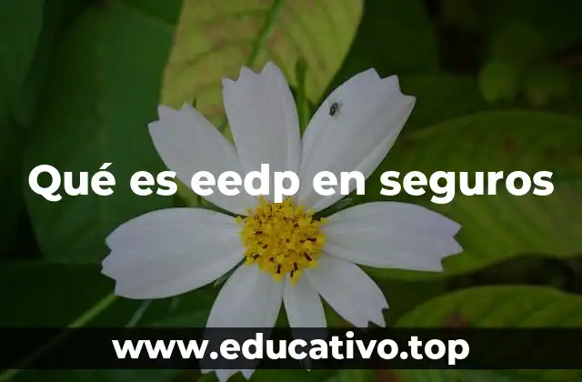 La importancia del EEDP en la gestión de riesgos