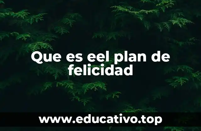 Que es eel plan de felicidad