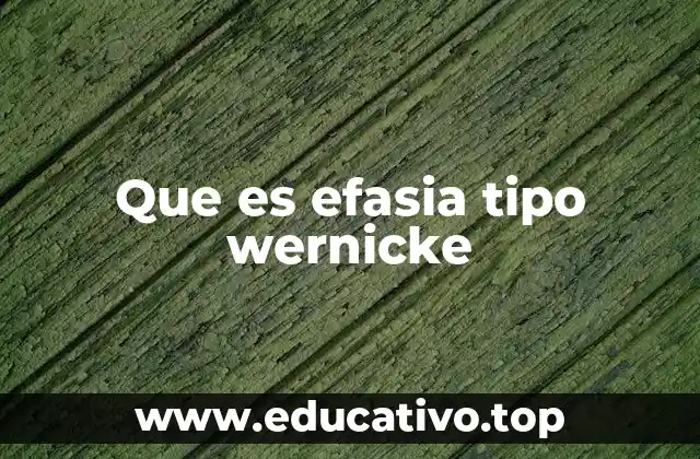 Que es efasia tipo wernicke