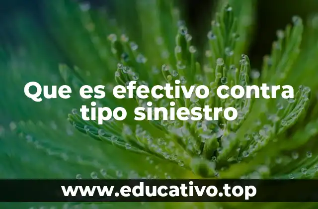 Que es efectivo contra tipo siniestro