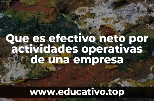 Que es efectivo neto por actividades operativas de una empresa