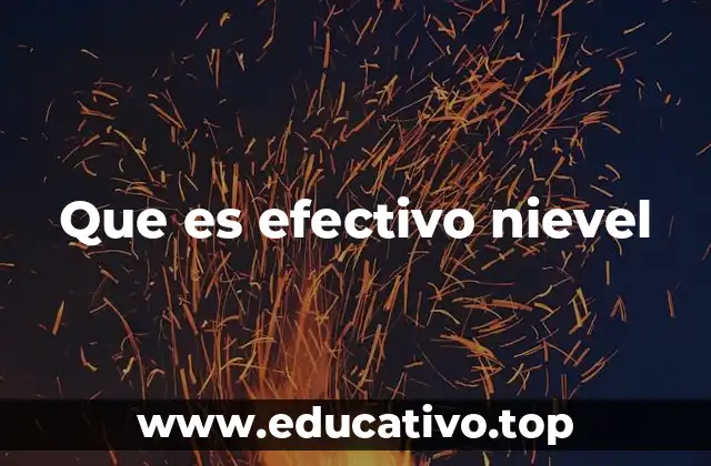 Que es efectivo nievel