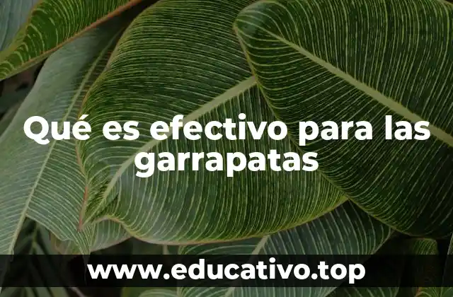 Qué es efectivo para las garrapatas