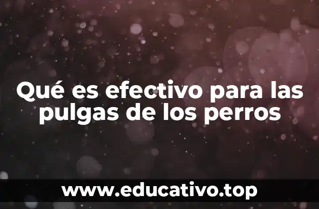 Cómo combatir a los parásitos externos en perros