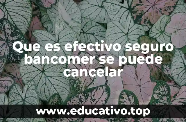 Que es efectivo seguro bancomer se puede cancelar