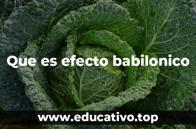 Que es efecto babilonico