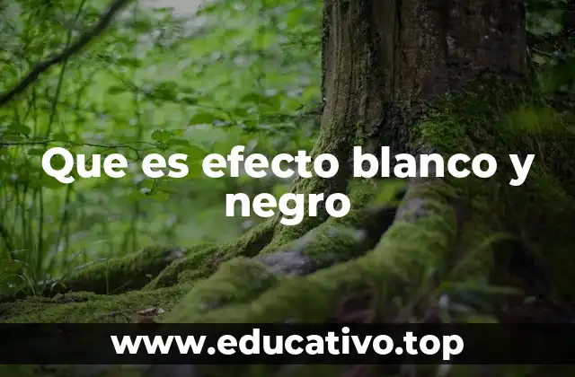 Que es efecto blanco y negro