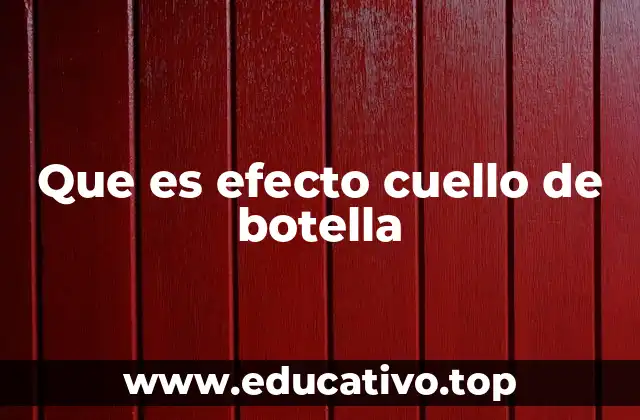 Que es efecto cuello de botella