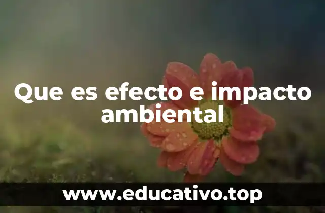 Que es efecto e impacto ambiental
