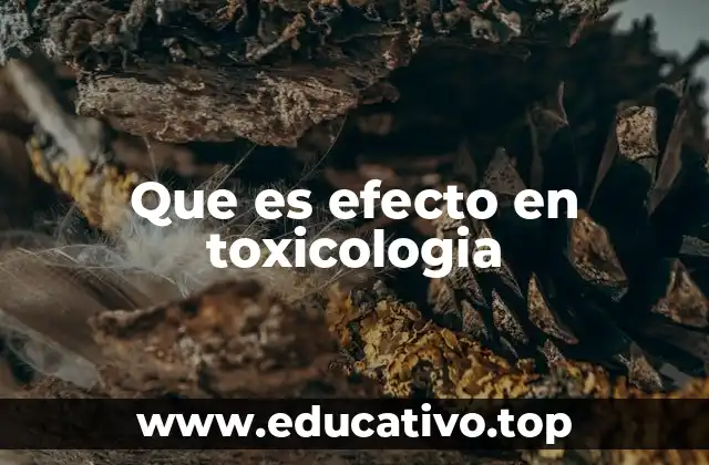 Que es efecto en toxicologia