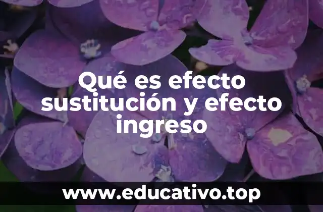 Qué es efecto sustitución y efecto ingreso