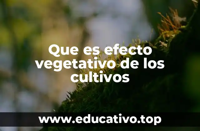 Que es efecto vegetativo de los cultivos