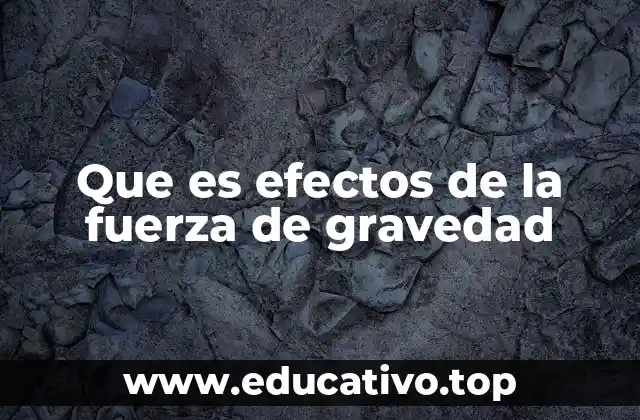 Que es efectos de la fuerza de gravedad