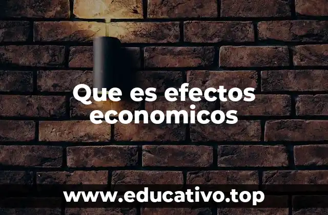 Que es efectos economicos