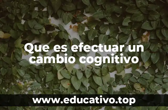 Que es efectuar un cambio cognitivo