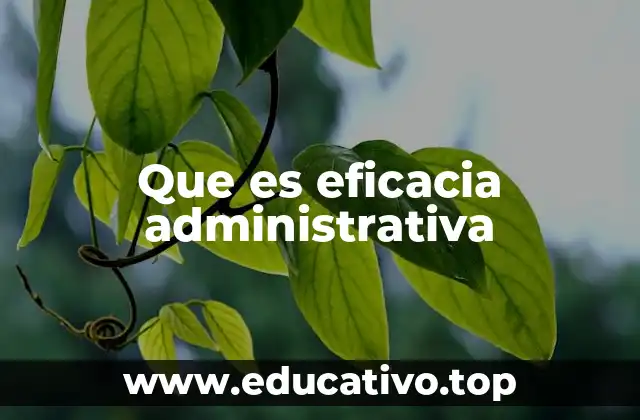 Que es eficacia administrativa