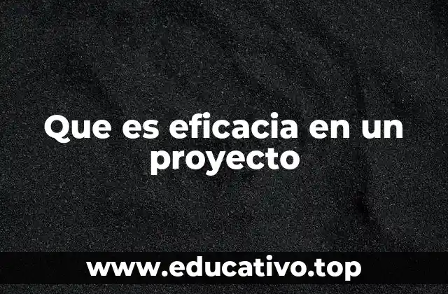 Que es eficacia en un proyecto