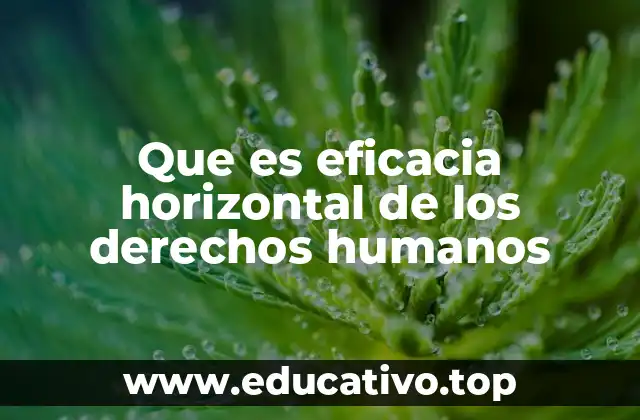 Que es eficacia horizontal de los derechos humanos