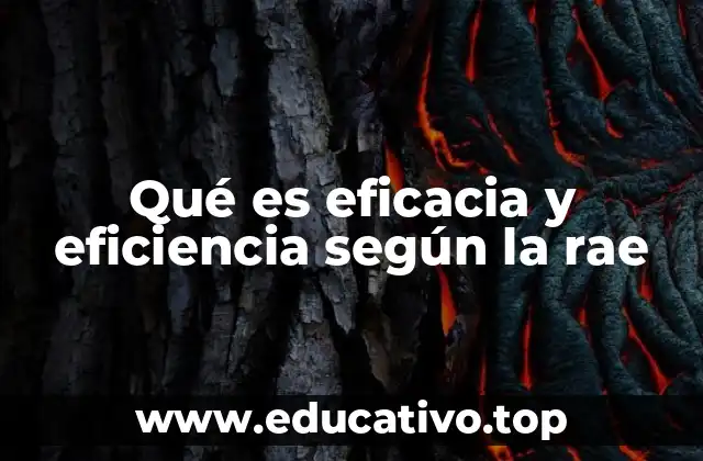 Qué es eficacia y eficiencia según la rae