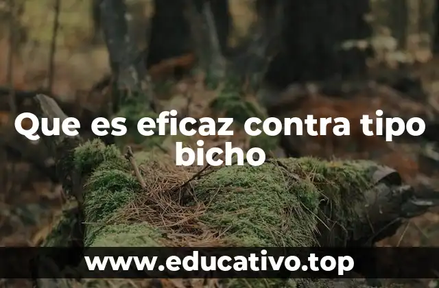 Que es eficaz contra tipo bicho