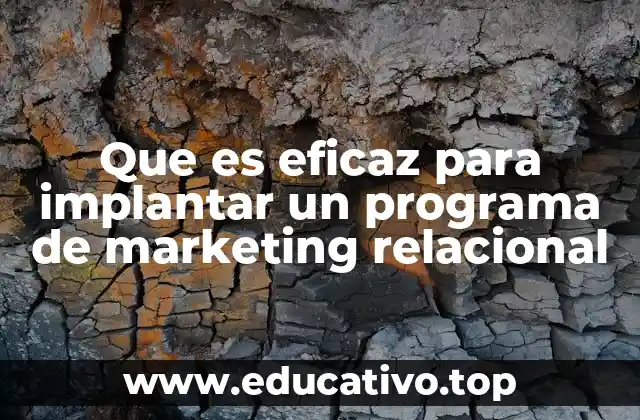 Que es eficaz para implantar un programa de marketing relacional
